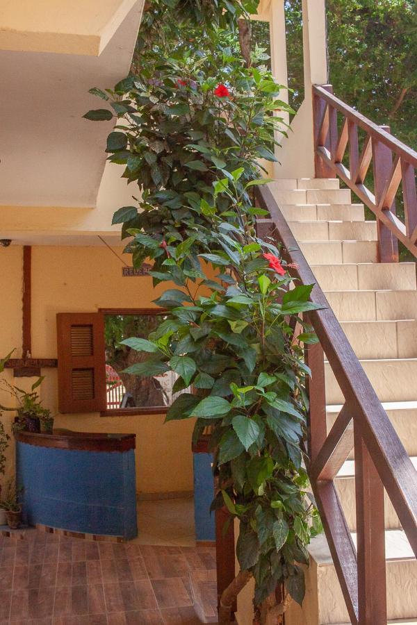 Portadosoljeri Hotel Jijoca de Jericoacoara Exterior foto