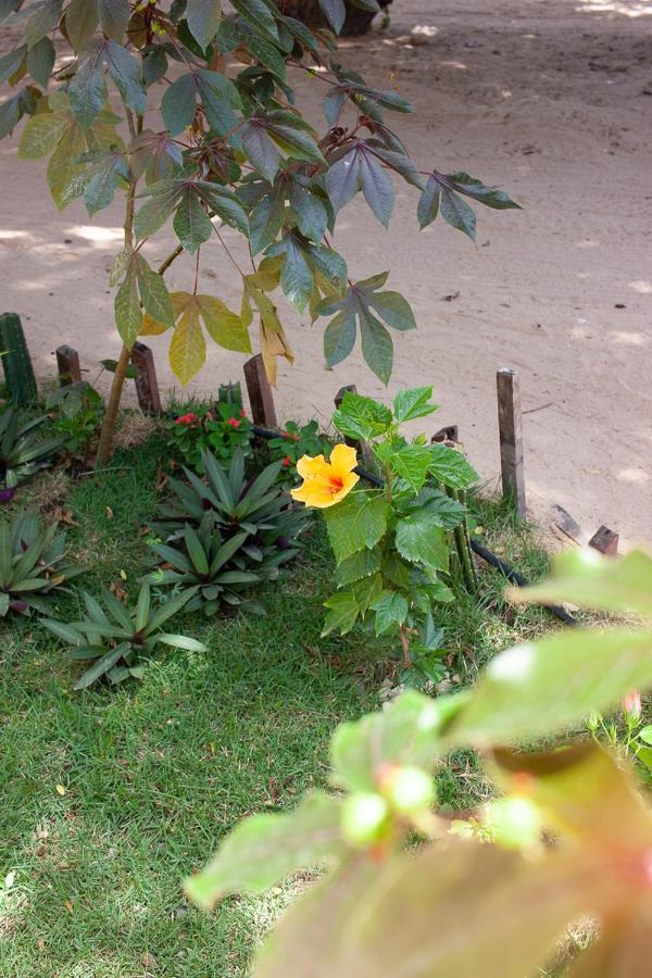 Portadosoljeri Hotel Jijoca de Jericoacoara Exterior foto